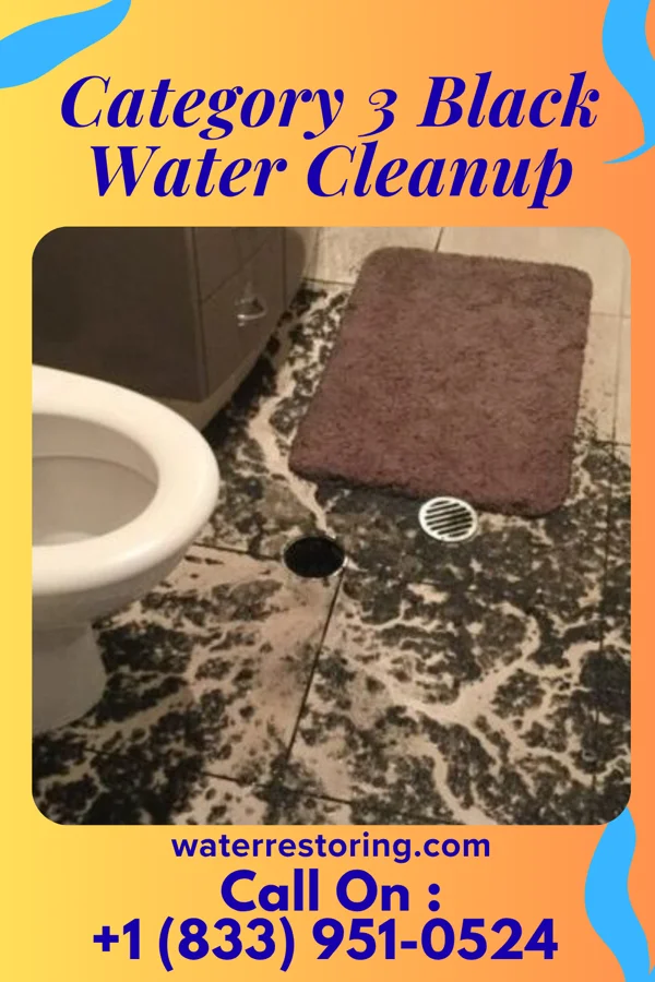 Category 3 Black Water Cleanup in Grill, PA