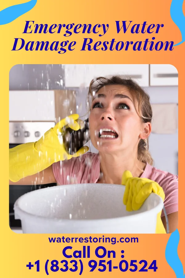 Emergency Water Damage Restoration in Grill, PA