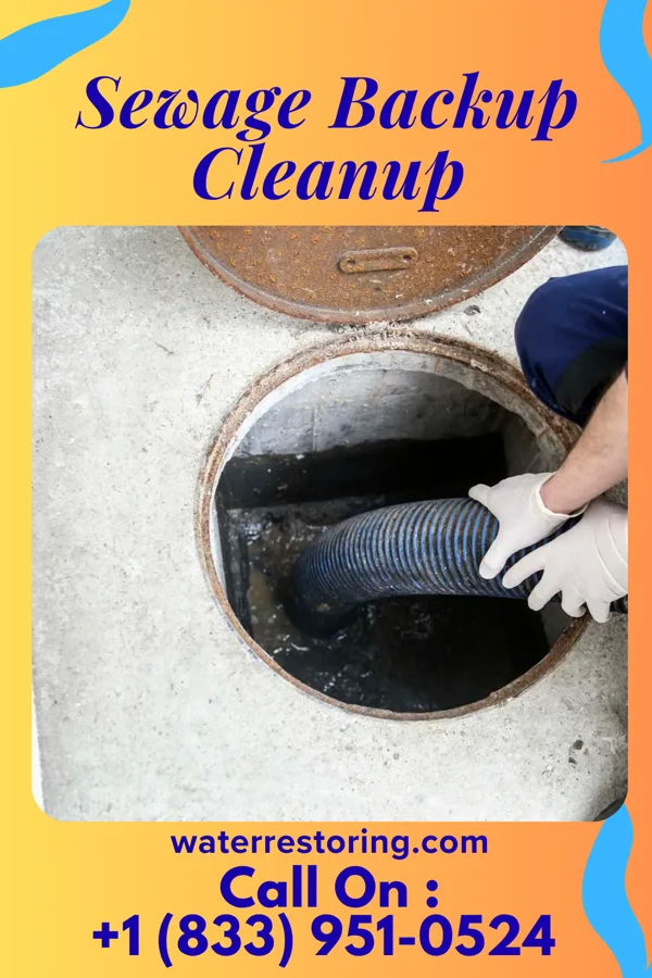 Sewage Backup Cleanup in Grill, PA