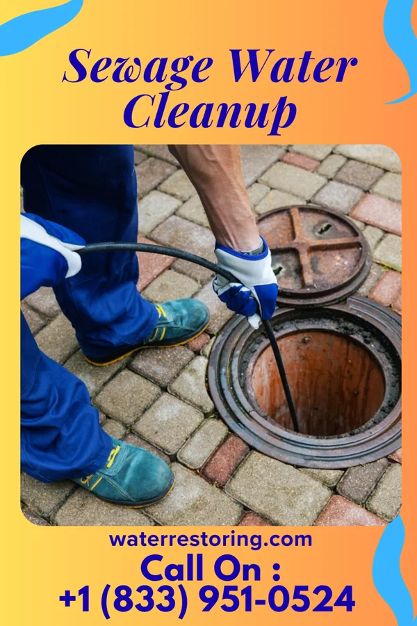 Sewage Water Cleanup in Grill, PA