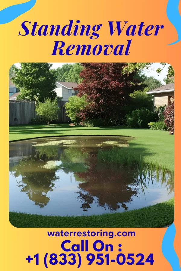Standing Water Removal in Grill, PA